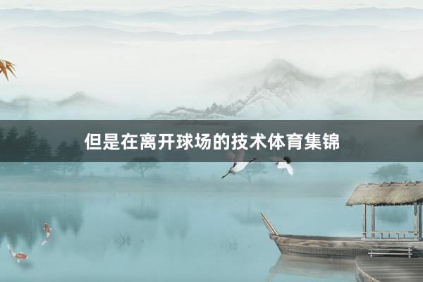 但是在离开球场的技术体育集锦