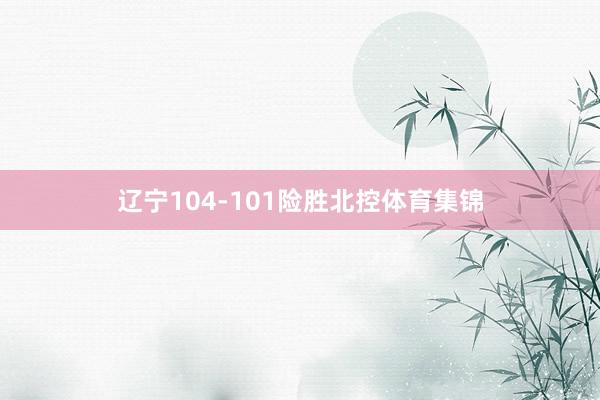 辽宁104-101险胜北控体育集锦