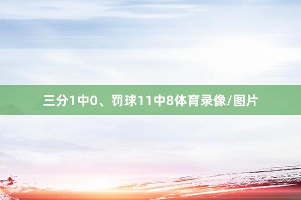 三分1中0、罚球11中8体育录像/图片