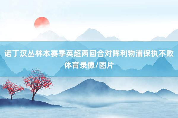 诺丁汉丛林本赛季英超两回合对阵利物浦保执不败体育录像/图片