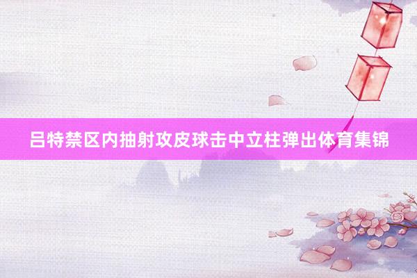 吕特禁区内抽射攻皮球击中立柱弹出体育集锦