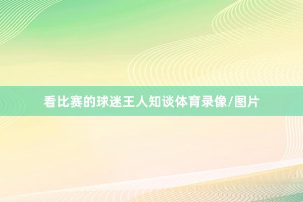 看比赛的球迷王人知谈体育录像/图片