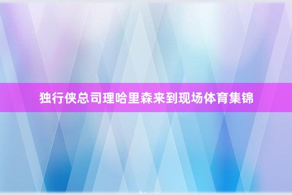 独行侠总司理哈里森来到现场体育集锦