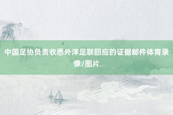 中国足协负责收悉外洋足联回应的证据邮件体育录像/图片