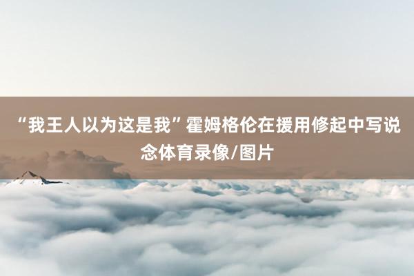 “我王人以为这是我”霍姆格伦在援用修起中写说念体育录像/图片