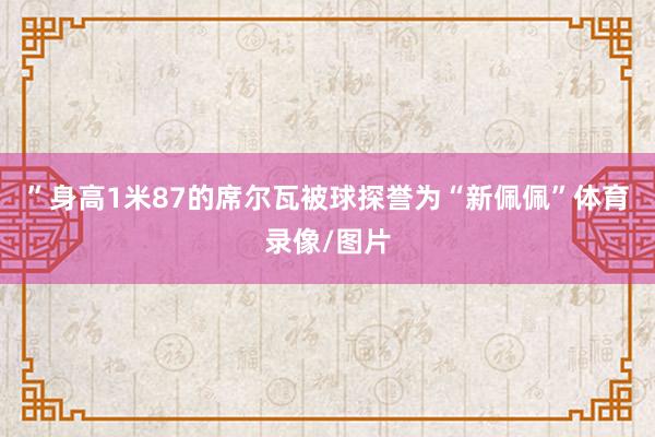”身高1米87的席尔瓦被球探誉为“新佩佩”体育录像/图片