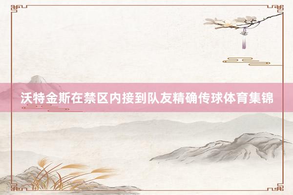 沃特金斯在禁区内接到队友精确传球体育集锦