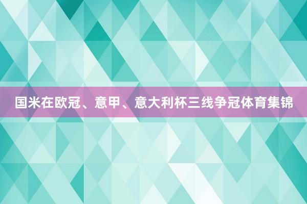 国米在欧冠、意甲、意大利杯三线争冠体育集锦