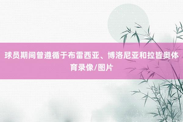 球员期间曾遵循于布雷西亚、博洛尼亚和拉皆奥体育录像/图片