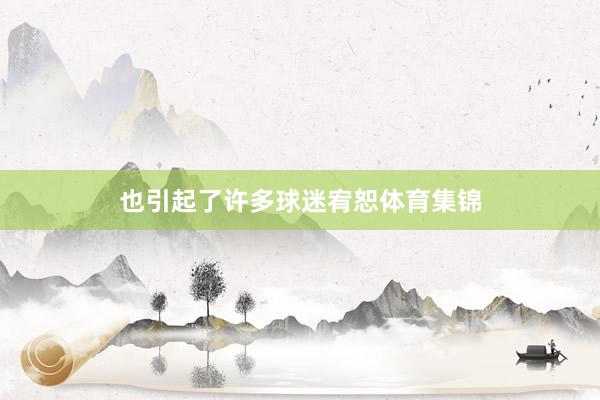也引起了许多球迷宥恕体育集锦