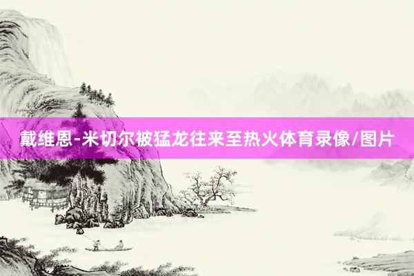 戴维恩-米切尔被猛龙往来至热火体育录像/图片