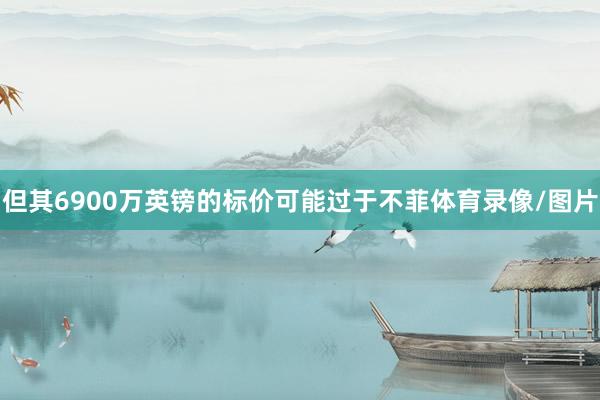 但其6900万英镑的标价可能过于不菲体育录像/图片