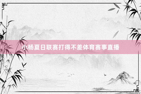 小杨夏日联赛打得不差体育赛事直播
