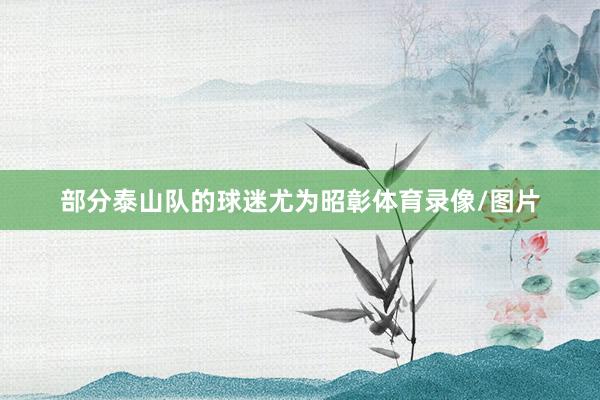 部分泰山队的球迷尤为昭彰体育录像/图片