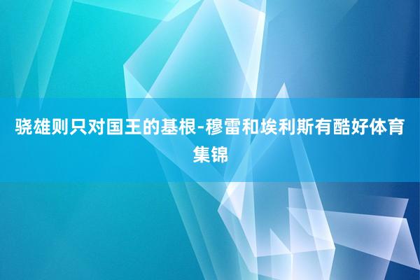 骁雄则只对国王的基根-穆雷和埃利斯有酷好体育集锦
