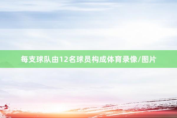 每支球队由12名球员构成体育录像/图片