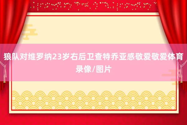 狼队对维罗纳23岁右后卫查特乔亚感敬爱敬爱体育录像/图片