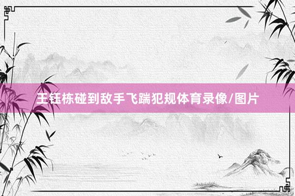 王钰栋碰到敌手飞踹犯规体育录像/图片