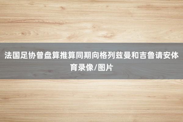 法国足协曾盘算推算同期向格列兹曼和吉鲁请安体育录像/图片