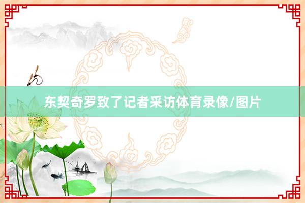 东契奇罗致了记者采访体育录像/图片