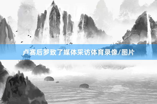 卢赛后罗致了媒体采访体育录像/图片