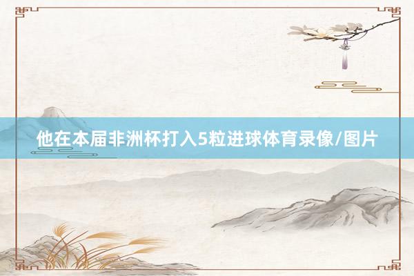 他在本届非洲杯打入5粒进球体育录像/图片