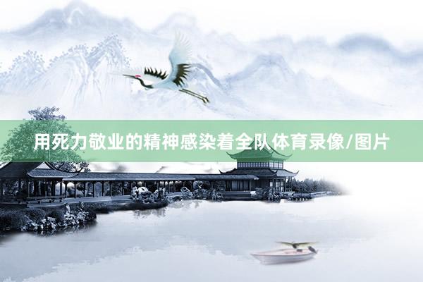 用死力敬业的精神感染着全队体育录像/图片