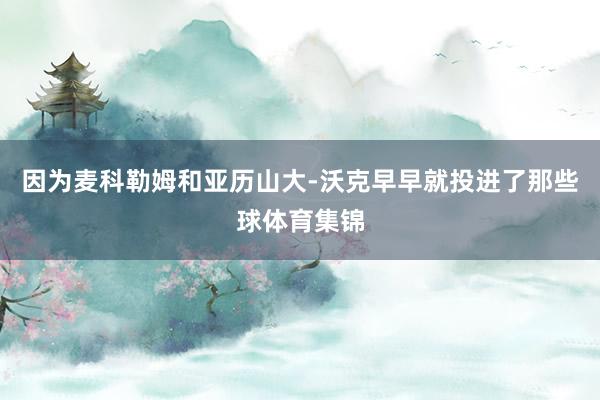 因为麦科勒姆和亚历山大-沃克早早就投进了那些球体育集锦
