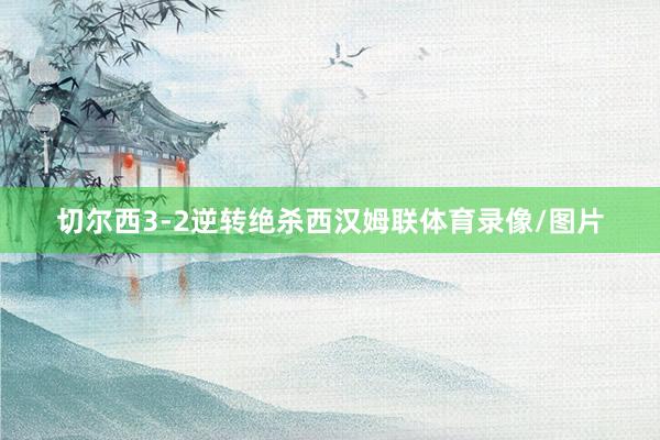 切尔西3-2逆转绝杀西汉姆联体育录像/图片