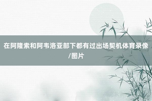 在阿隆索和阿韦洛亚部下都有过出场契机体育录像/图片
