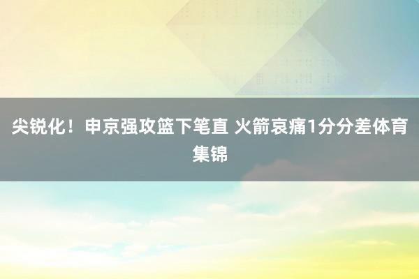 尖锐化！申京强攻篮下笔直 火箭哀痛1分分差体育集锦