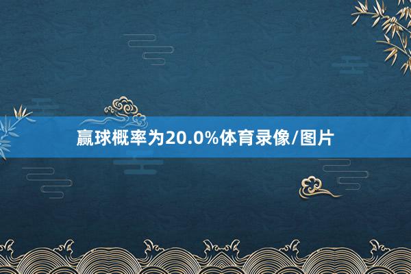 赢球概率为20.0%体育录像/图片
