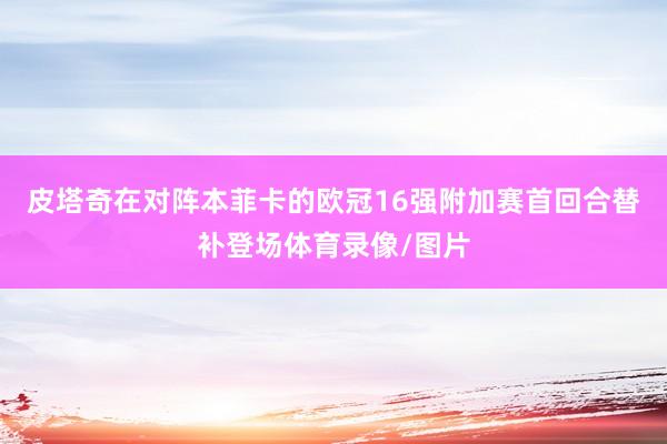 皮塔奇在对阵本菲卡的欧冠16强附加赛首回合替补登场体育录像/图片