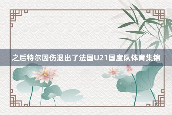 之后特尔因伤退出了法国U21国度队体育集锦
