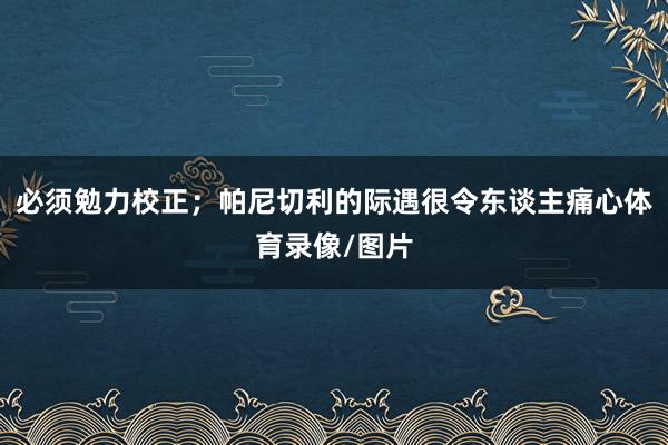 必须勉力校正;帕尼切利的际遇很令东谈主痛心体育录像/图片