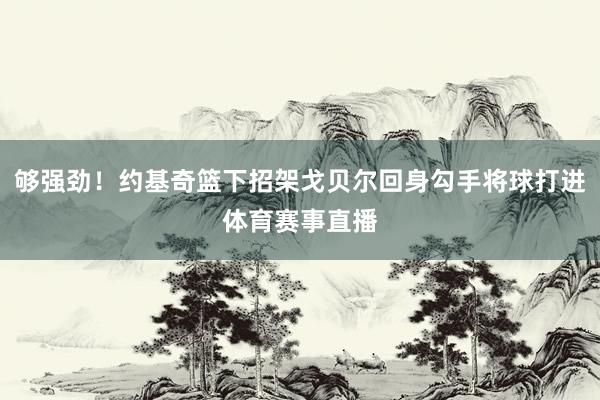 够强劲！约基奇篮下招架戈贝尔回身勾手将球打进体育赛事直播