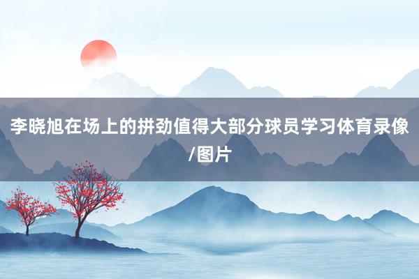 李晓旭在场上的拼劲值得大部分球员学习体育录像/图片