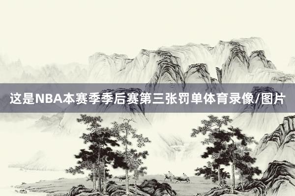 这是NBA本赛季季后赛第三张罚单体育录像/图片