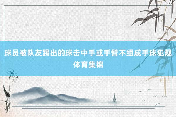 球员被队友踢出的球击中手或手臂不组成手球犯规体育集锦