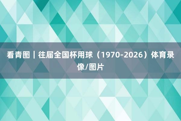看青图｜往届全国杯用球（1970-2026）体育录像/图片