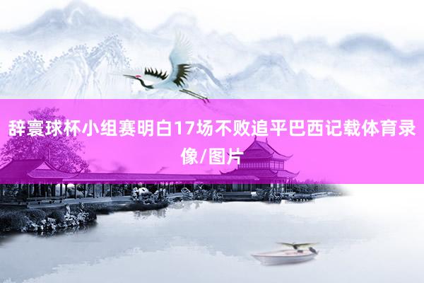 辞寰球杯小组赛明白17场不败追平巴西记载体育录像/图片